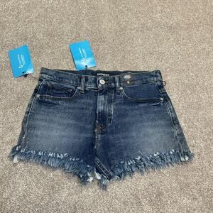 inidie sleaze punk edgy Micro Mini Shorts 6 Dark Wash indigo Frayed Safety Pin